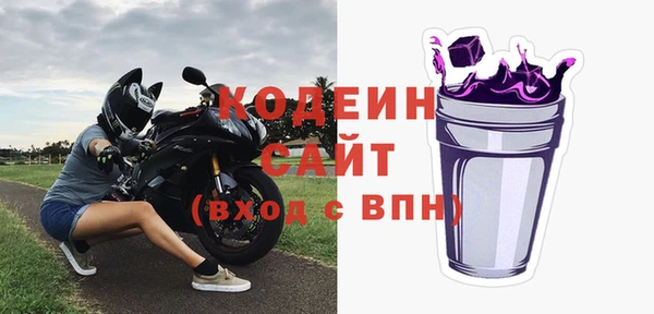 дмт Инсар