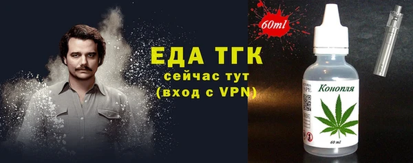 дмт Инсар
