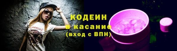 дмт Инсар