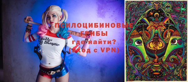 дмт Инсар