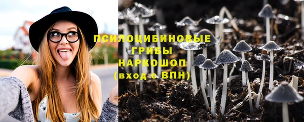 дмт Инсар