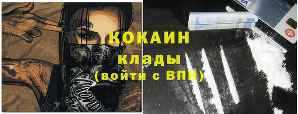 дмт Инсар