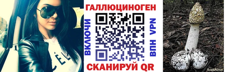 Купить  Приволжский  Псилоцибиновые грибы ЛСД 